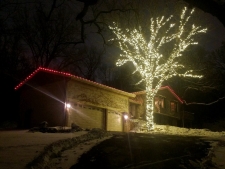 Lit up tree outside of house with red lights outlining roof