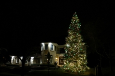 Woodbury Tree Lighting